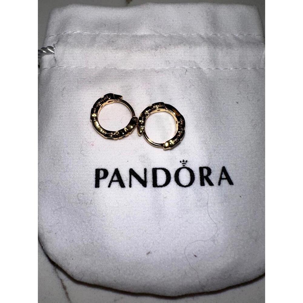 New Pandora Earrings